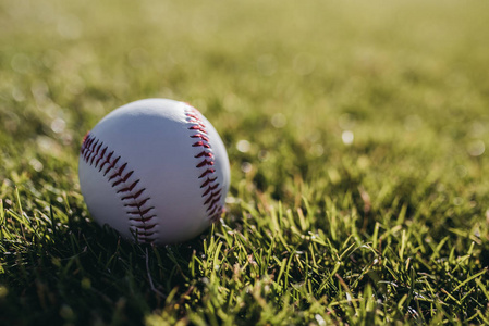 棒球球躺在绿色的草地上