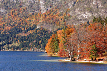 多彩深秋的湖水，背后的森林和山