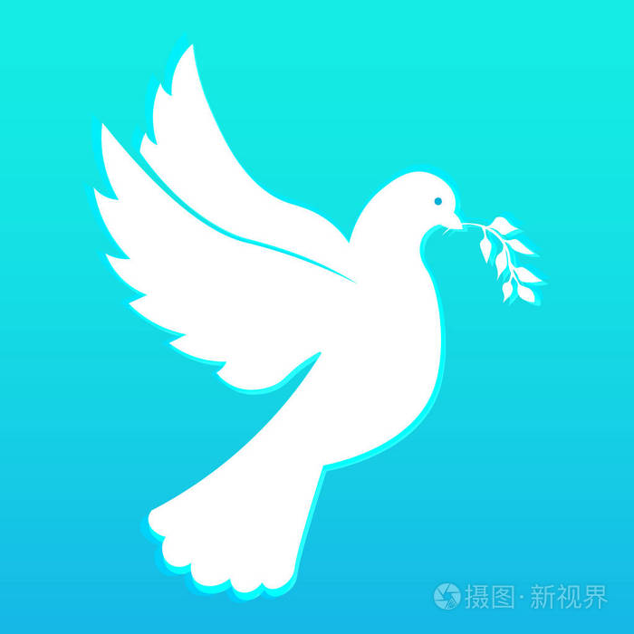鸽子和橄榄枝