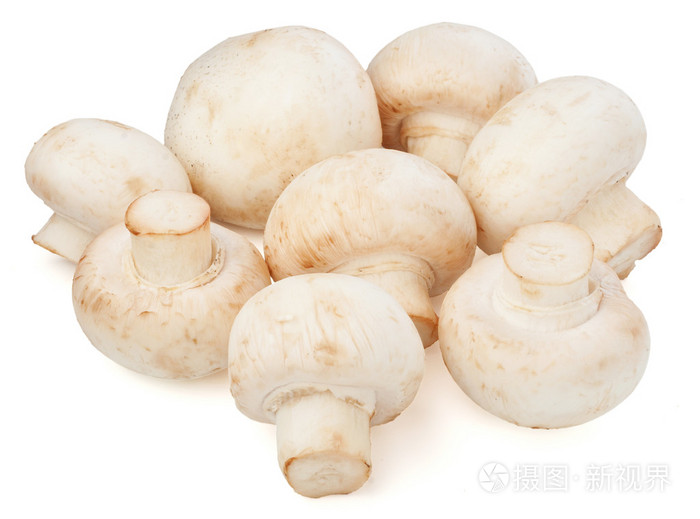 在白色背景上的双孢菇蘑菇