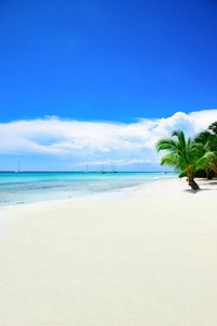 沙质海滩加勒比多米尼加