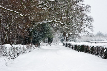通过英语农村农村的冬天雪与路径