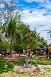 在西哈努克，柬埔寨地处热带的海滩