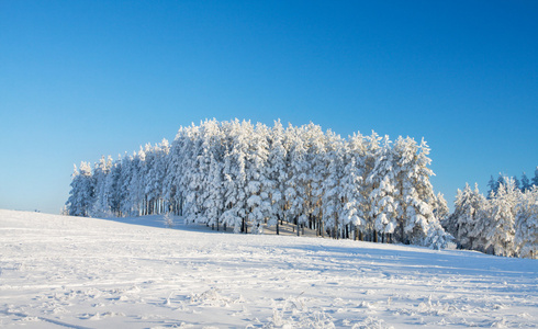 冬季景观