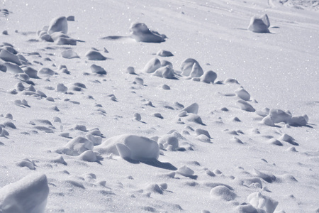 冬天的雪，一丛丛