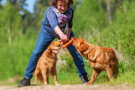 女人玩新斯科舍省鸭收费猎犬