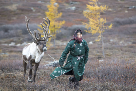 tsaatan 女人与针叶林的驯鹿