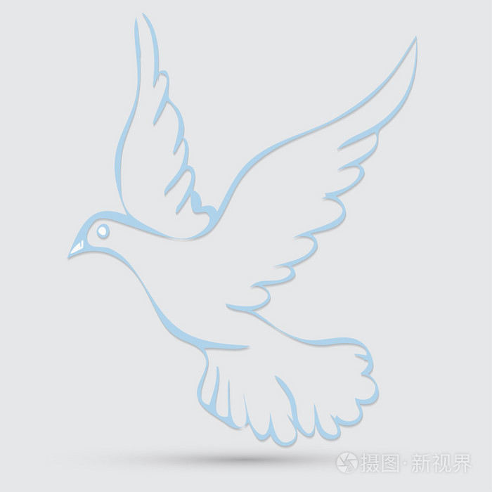 象征和平的鸽子