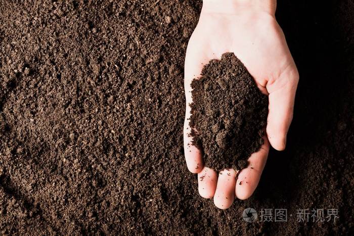 土壤在手, 棕榈, 耕种的泥土, 地球, 地面, 褐色土地背景.