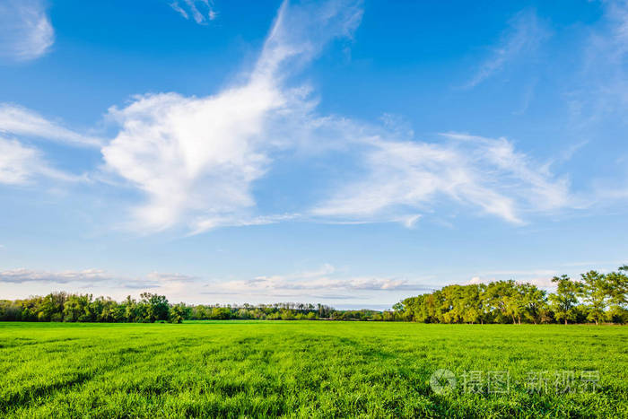 绿色的田野和蓝蓝的天空