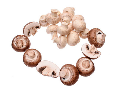白色和灰色蘑菇孤立在白色背景上的蘑菇