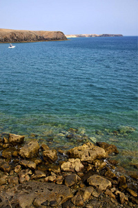 西班牙麝香池塘海滩水中海岸兰萨罗特岛