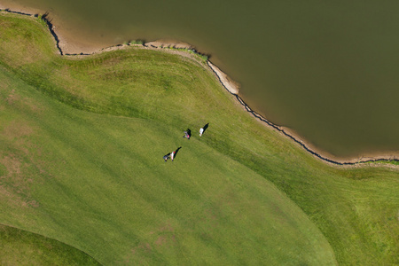 在波兰的高尔夫球场在鸟瞰图
