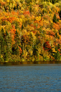 与湖的秋色