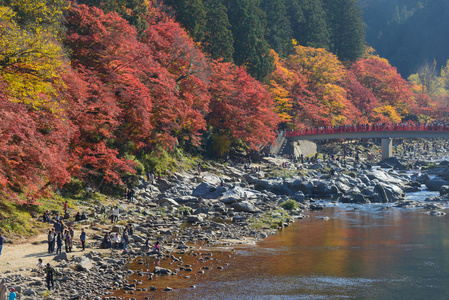 在 Korankei，日本爱知县的秋叶