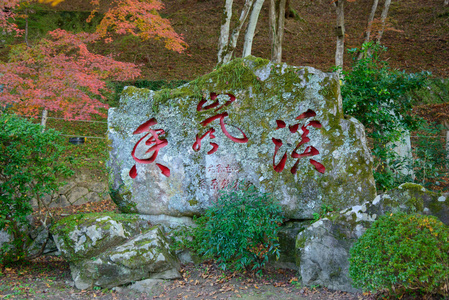 在 Korankei，日本爱知县的秋叶