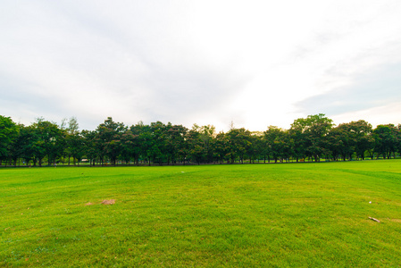 绿色的草坪，与在城市公园，美丽的树