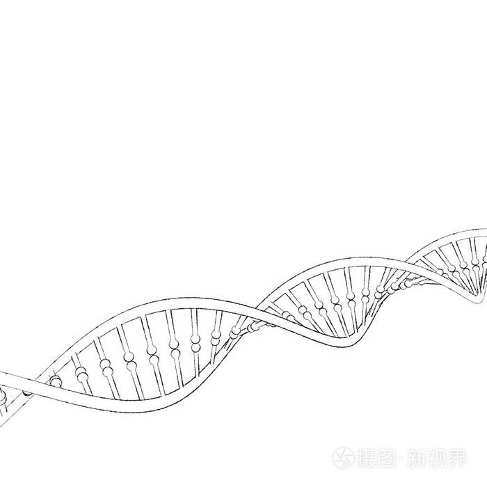 dna链孤立在白色背景上素描插图