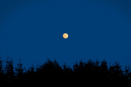 夜景与月亮