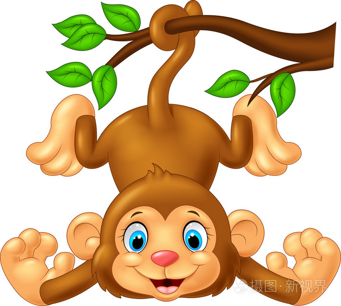 卡通可爱的猴子挂在树枝上