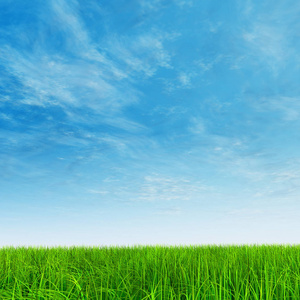 绿色的田野或草坪和蓝天