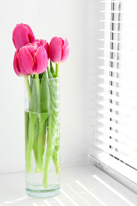 与阳光的窗台上放着粉红色美丽的郁金香