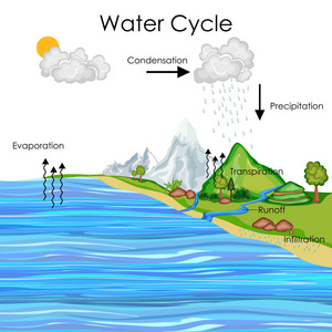 教育的水循环图的图表