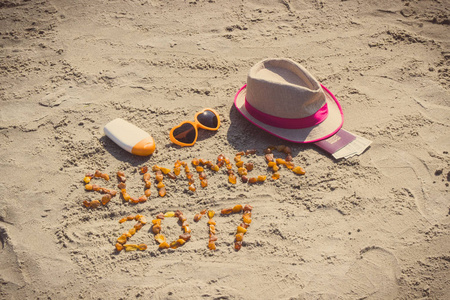 铭文夏天到 2017 年，享受日光浴和护照与货币美元在海滩的配件
