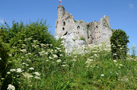Castle in Poland Mirw