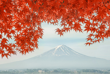 反映在湖河口湖与秋天的颜色，日本的富士山