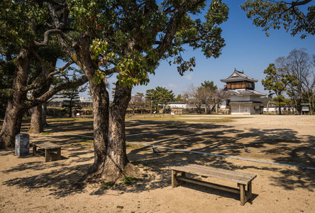 春天树木在冈山公园