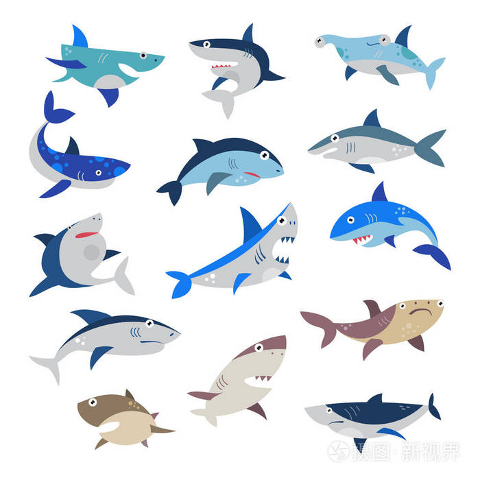 鲨鱼矢量卡通 seafish 与尖锐的牙齿在下巴插图集攻击渔业特征的海洋