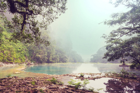 美丽的自然水池在 Semuc Champey, Lanquin, 危地马拉, 中美洲