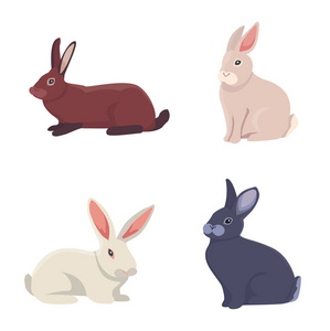 矢量图的卡通兔不同品种。细 bunnys 兽医设计