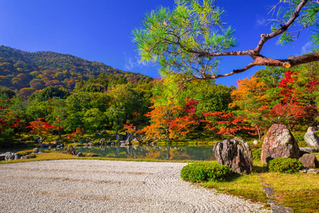 秋天在天龙寺在岚山湖