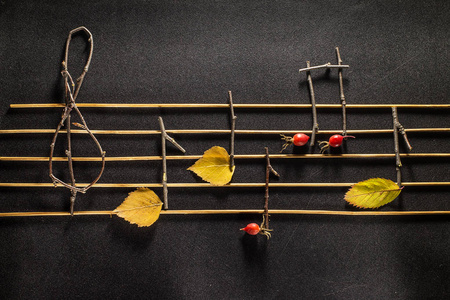 音符的概念。木制的音符和树叶