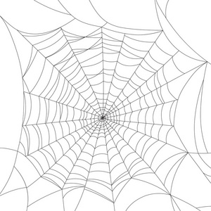 白色，矢量图上孤立的蜘蛛网