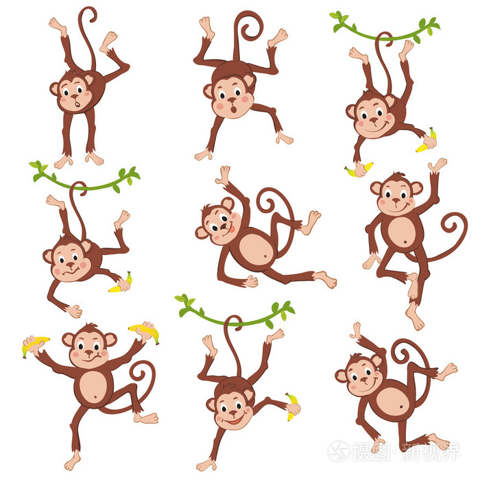 可爱有趣的猴子集插画-正版商用图片0cj8c9-摄图新视界