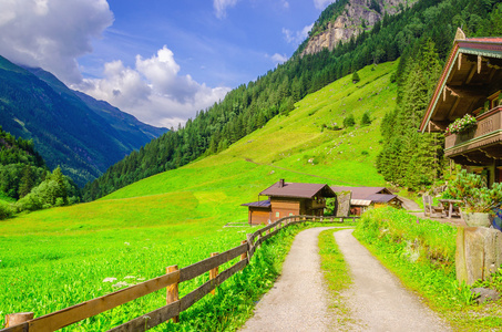 奥地利阿尔卑斯山的高山房子乡村道路