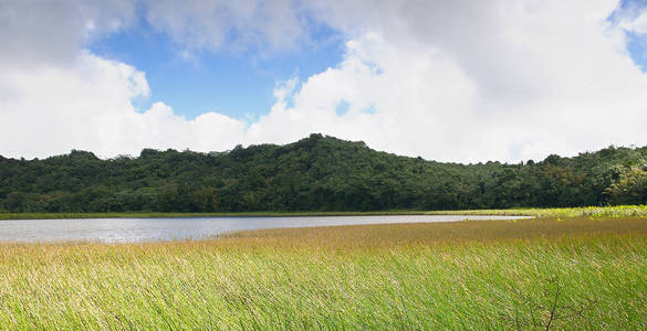 格林纳达岛大鹅国家公园大鹅湖