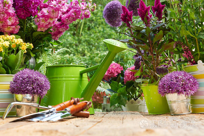 园艺工具和鲜花