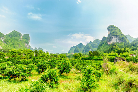 由中国阳朔岩溶景观图片