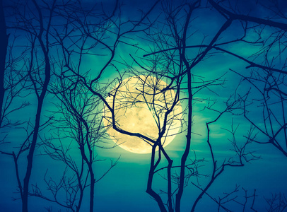 夜晚景观的天空与超级月亮背后死剪影
