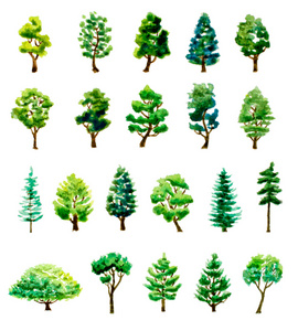 水彩画集手绘制不同的树。它制作图案矢量图片