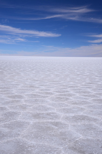玻利维亚盐的模式