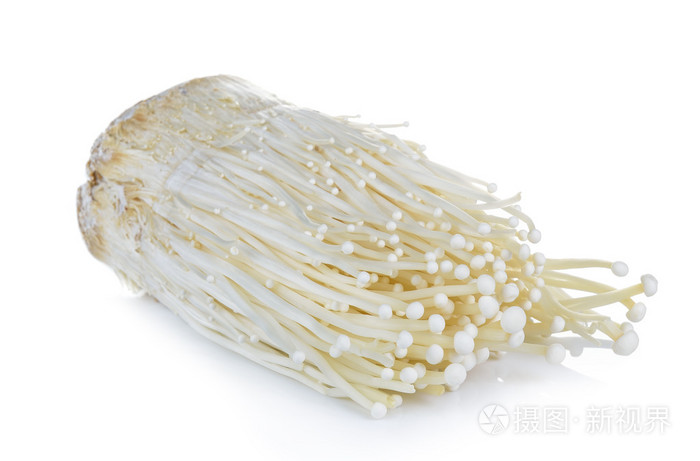 金针菇黄金针菇孤立在白色背景