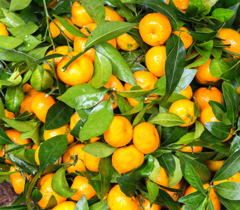 成熟的橘子水果背景