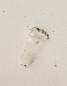 在沙滩的脚印的照片