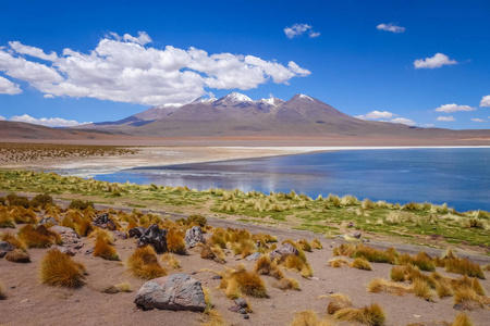 玻利维亚南部利佩斯保护区的Altiplano泻湖