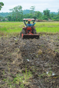 拖拉机在稻田上工作